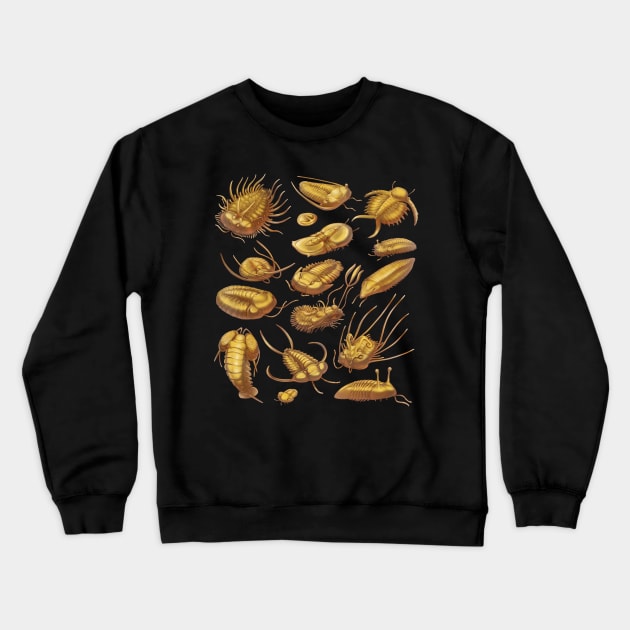 Golden Trilobites Crewneck Sweatshirt by Wagglezags